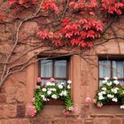 Burgfenster im Herbst