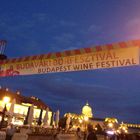 Burgfestival / Weinfestival 2013