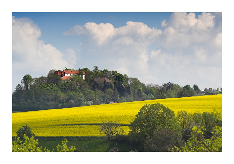 Burgfrühling 3