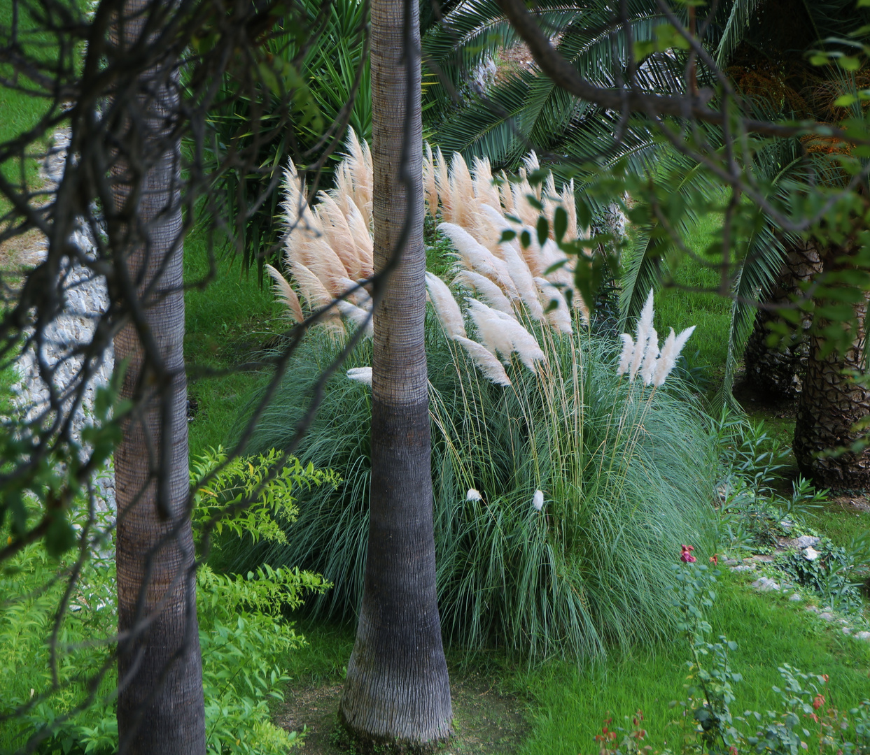 Burggarten Guadalest 1