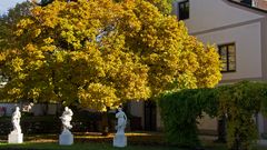 Burggarten im Herbst