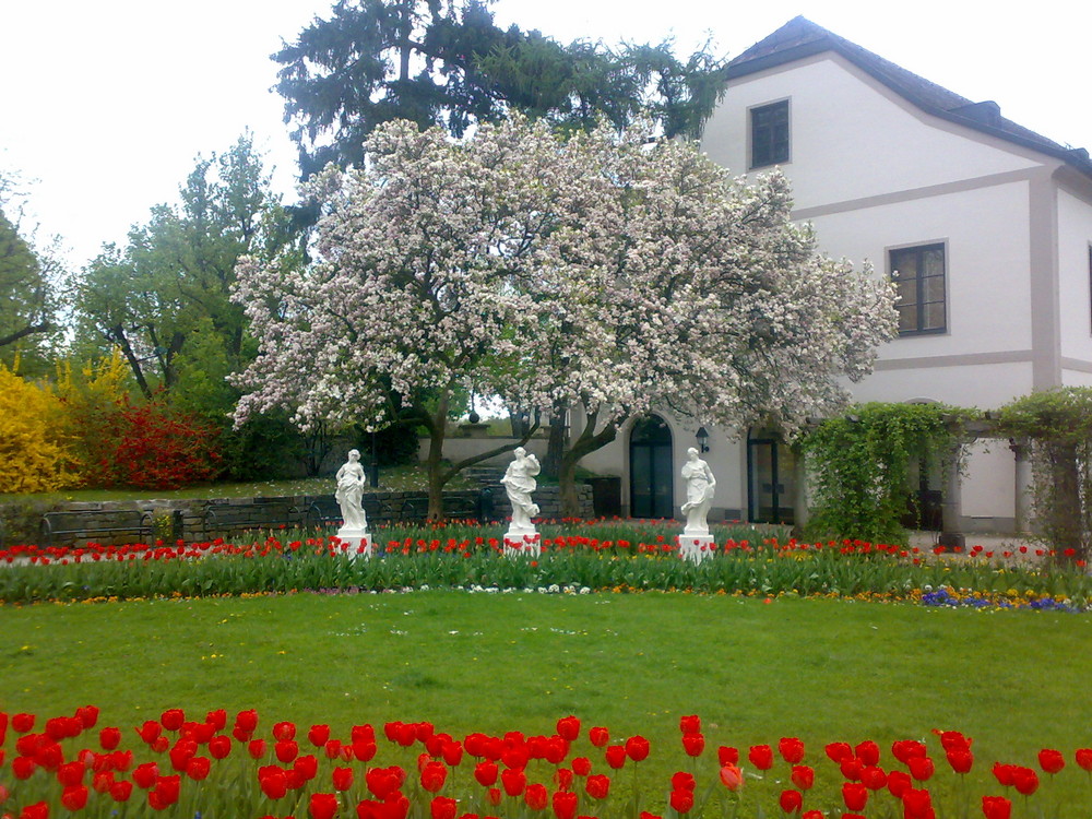 Burggarten Wels