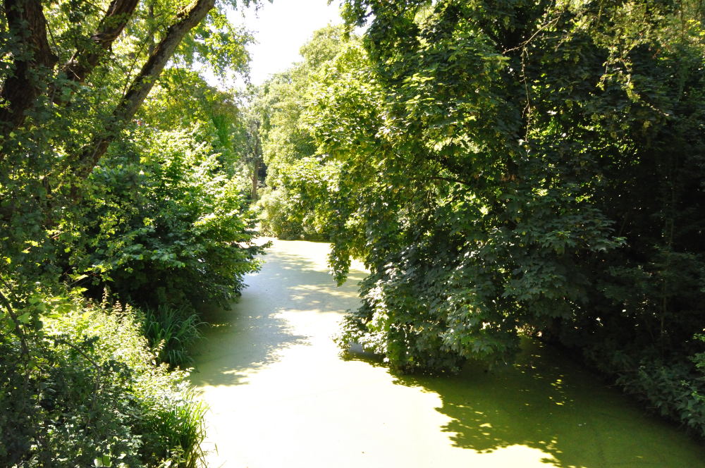 Burggraben Burg Linn, Krefeld