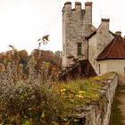 Burghausen