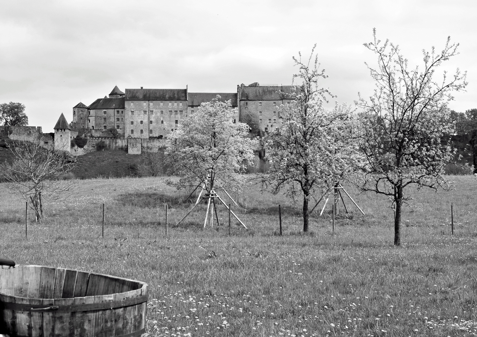 Burghausen, Mittelalterliche Zeit