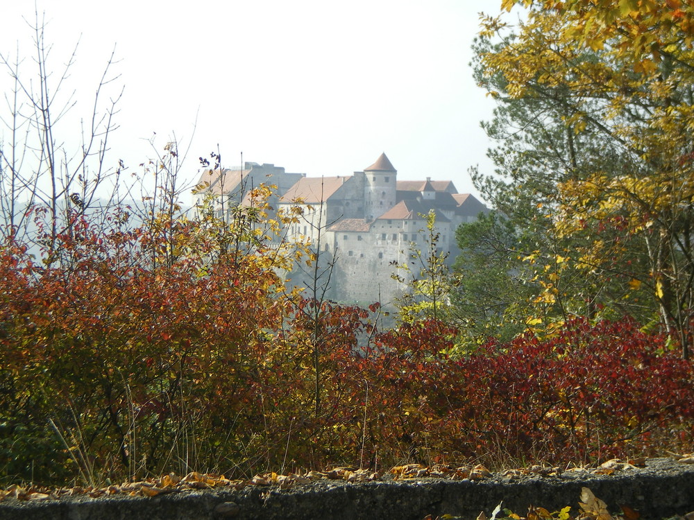 Burghausen - taken from Austria 2