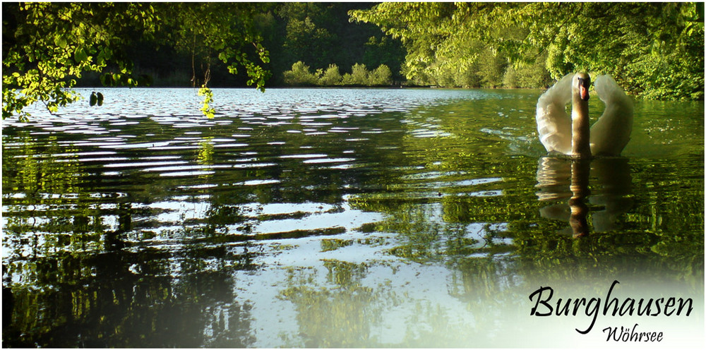 Burghausen - Wöhrsee