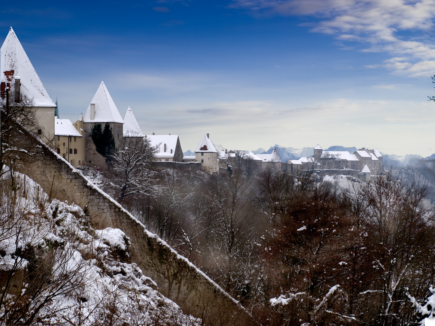 Burghauser Burg mit Bergpanorama