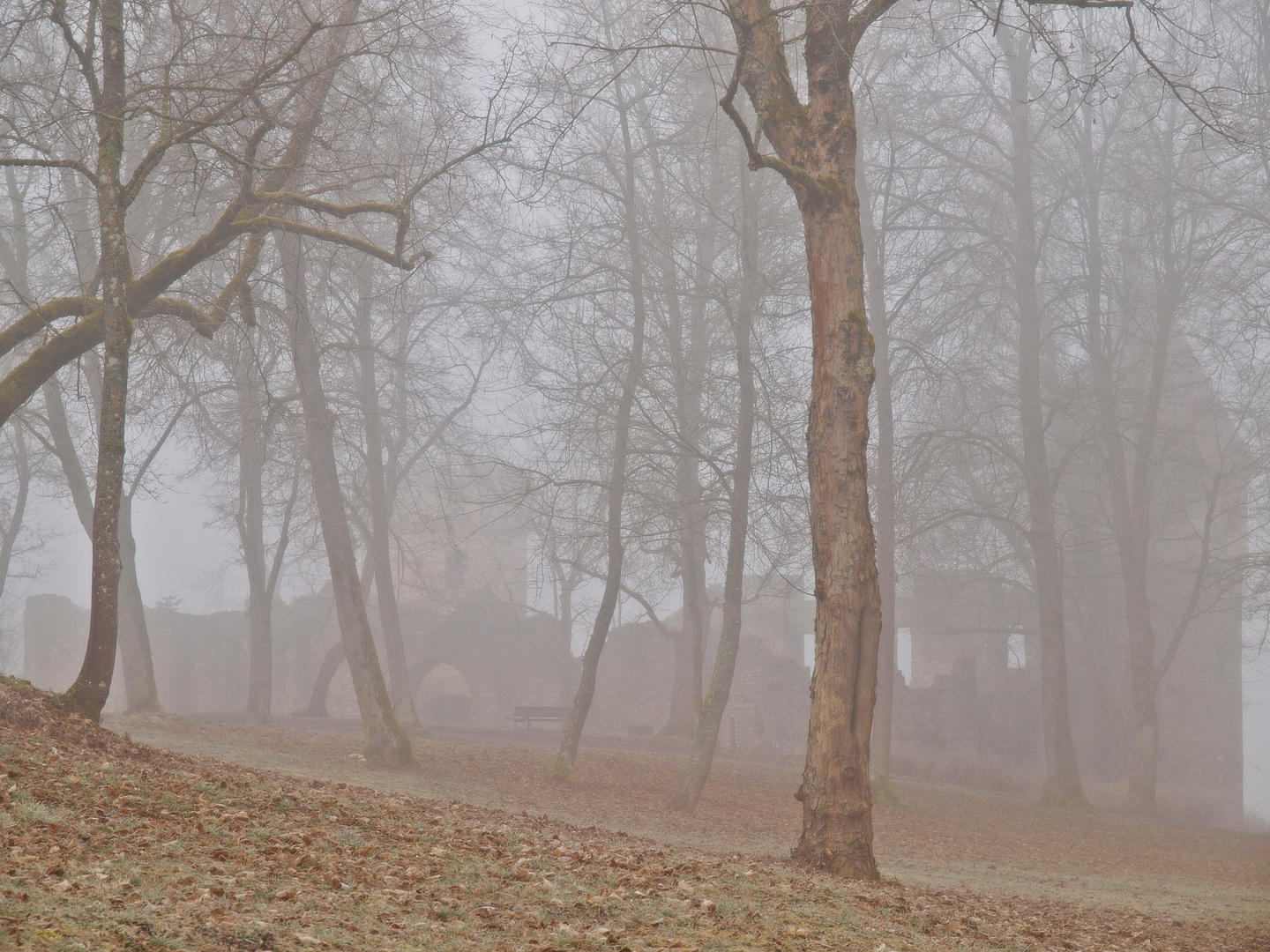 Burghof im Nebel....