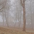 Burghof im Nebel....