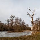 Burgkemnitzer Schloßpark