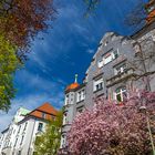 Burgkmairstraße im Frühling