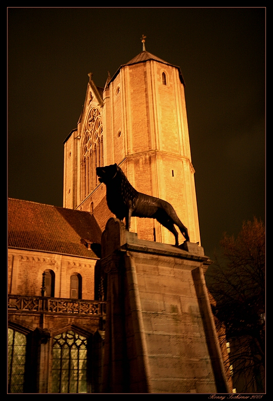 Burglöwe im Schatten des Doms