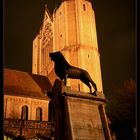 Burglöwe im Schatten des Doms