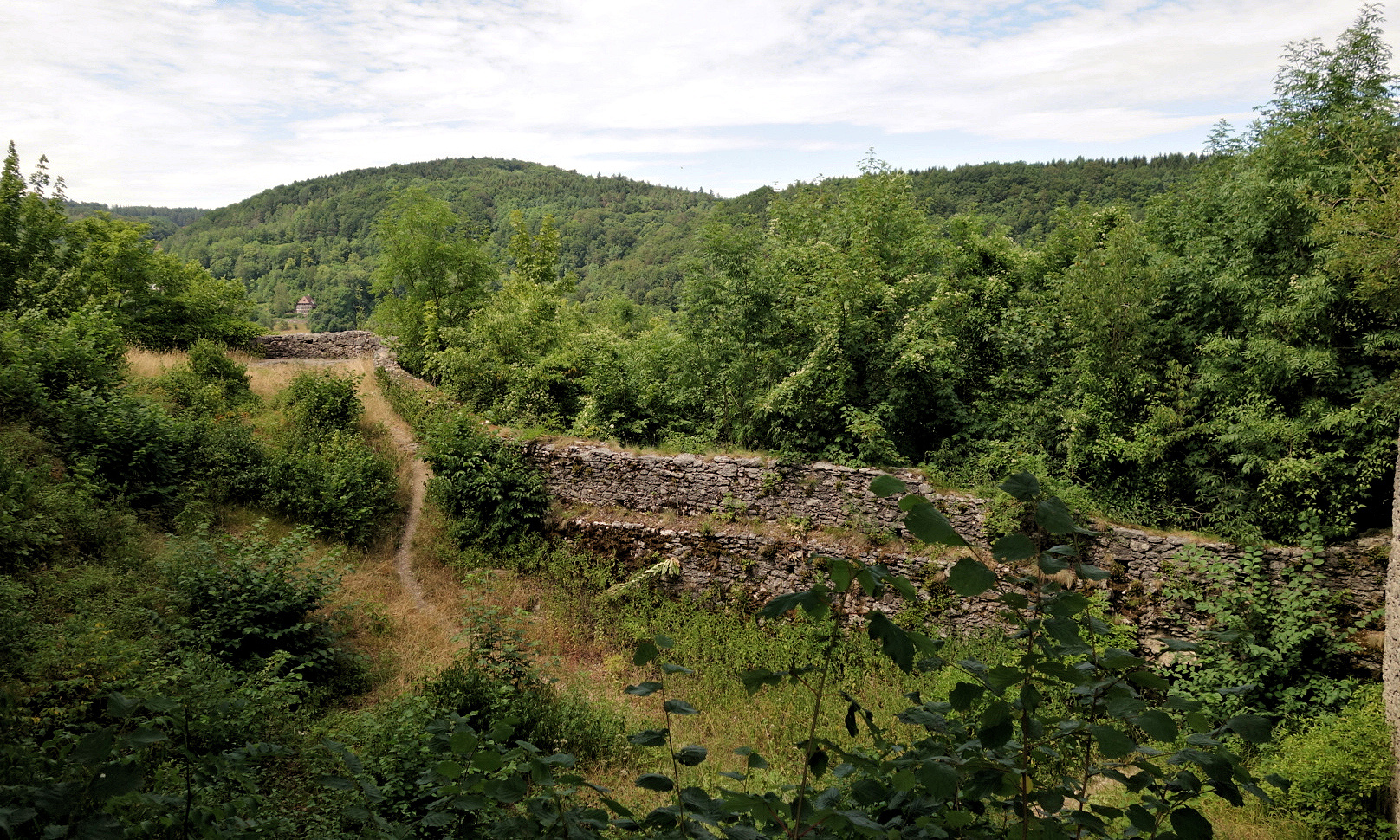 Burgmauer Burgruine Neideck