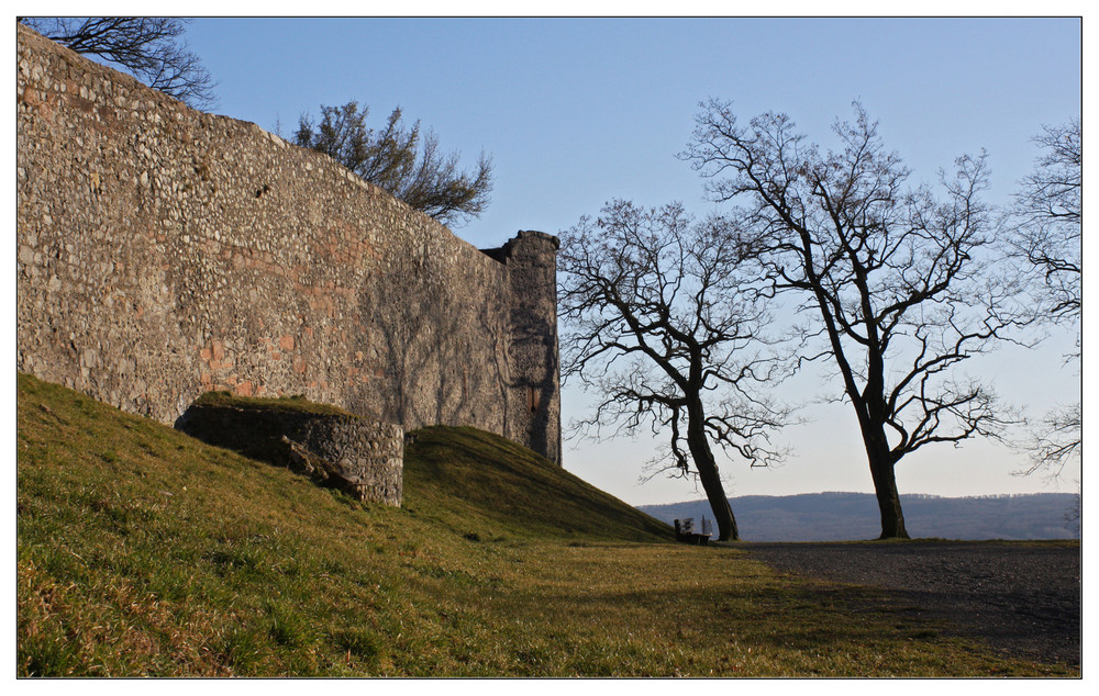 Burgmauer