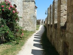 Burgmauer und Rosen 1...