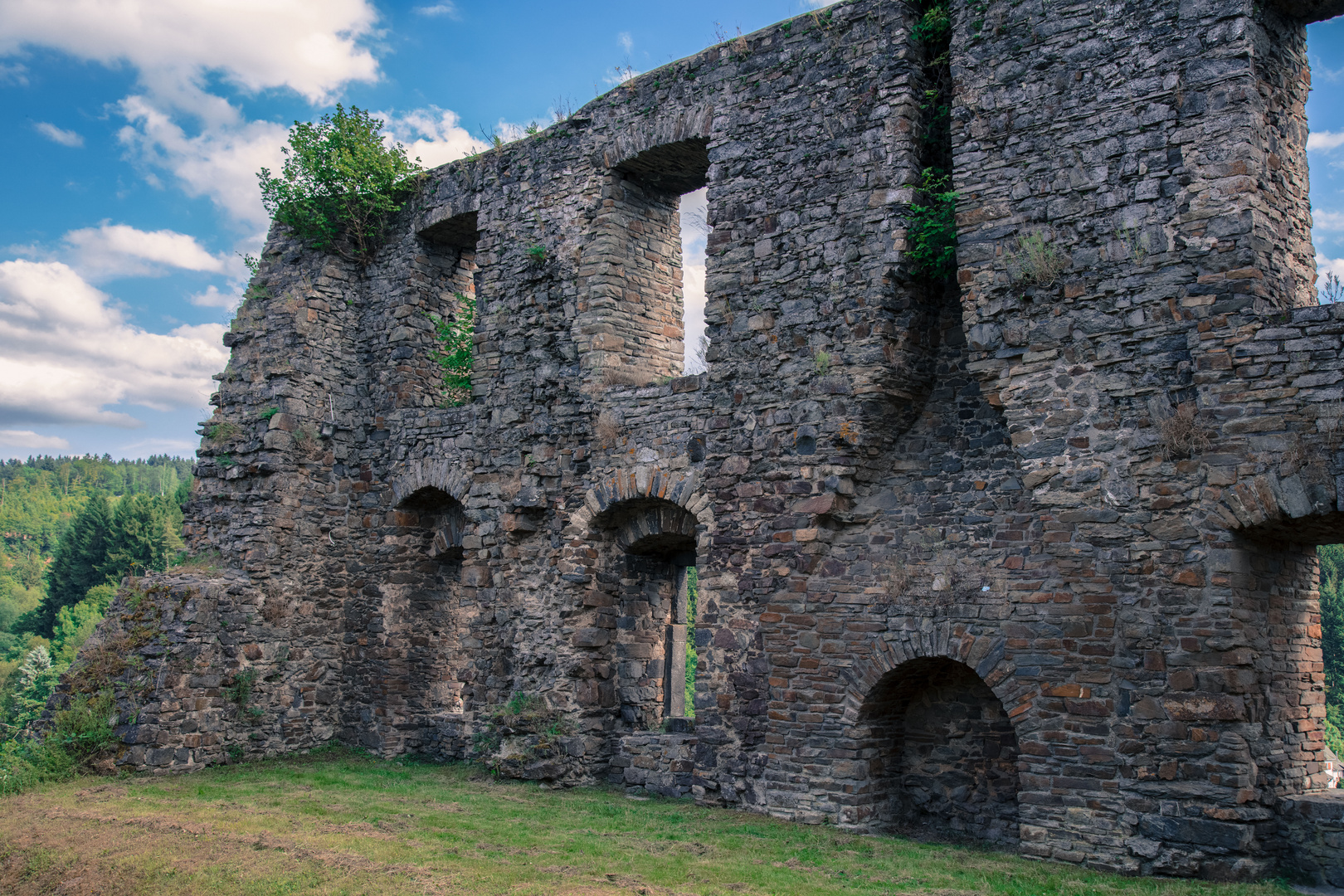 Burgmauer_Eifel_f/6.3