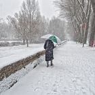 Burgos no te dejara frio