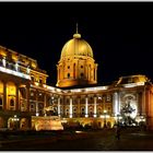 Burgpalast bei Nacht