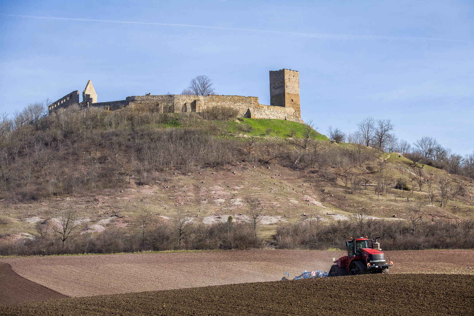 Burgpanorama