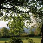 Burgpark Hachenburg im Westerwald