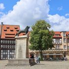 Burgplatz - Braunschweig (02)