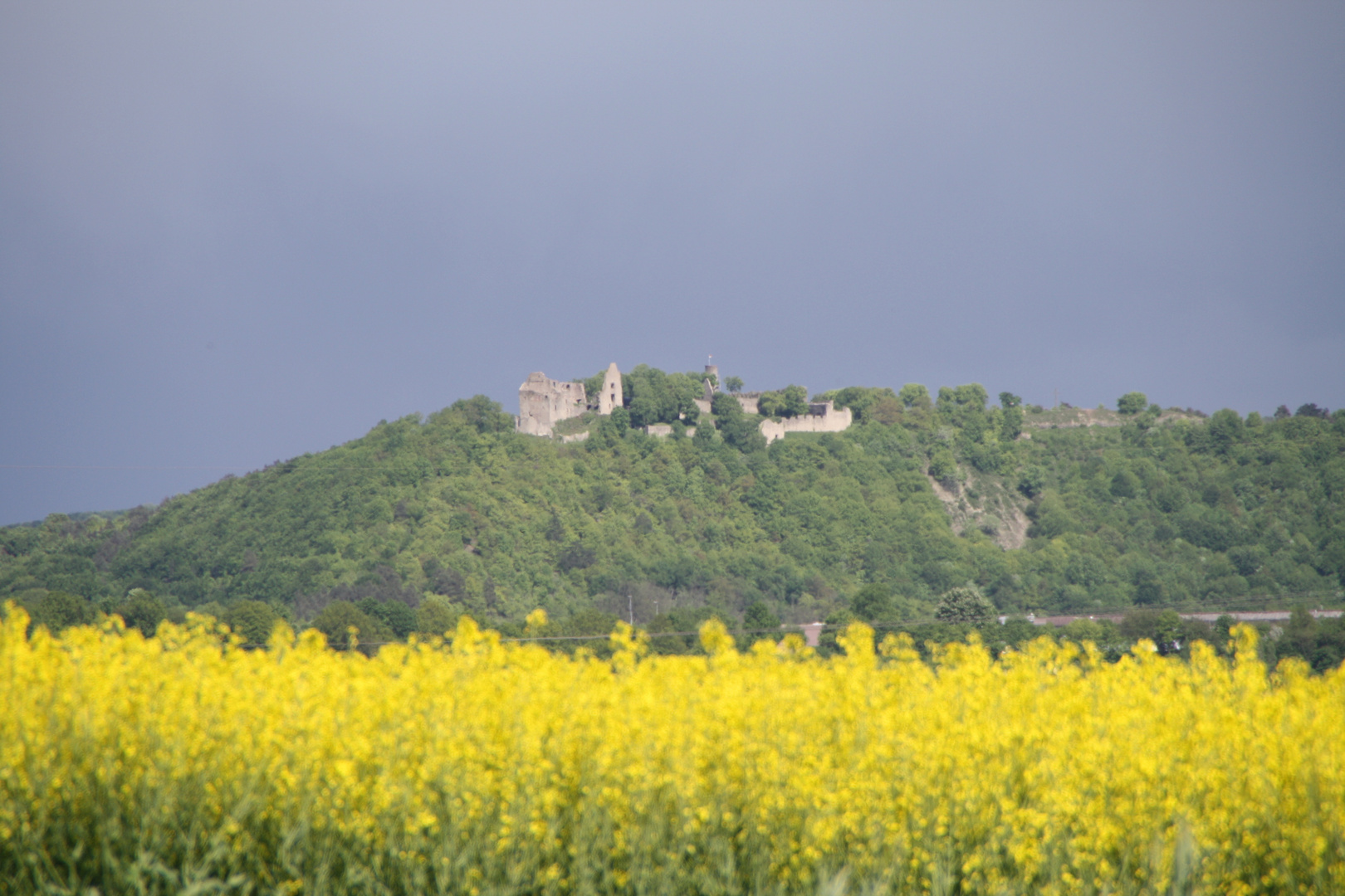 BurgRuine