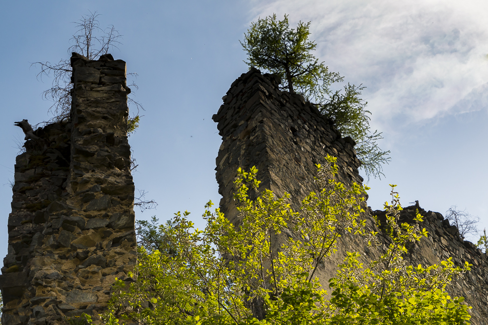 Burgruine