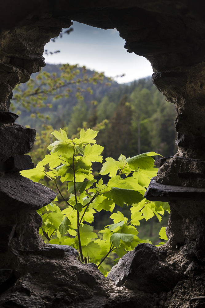 Burgruine