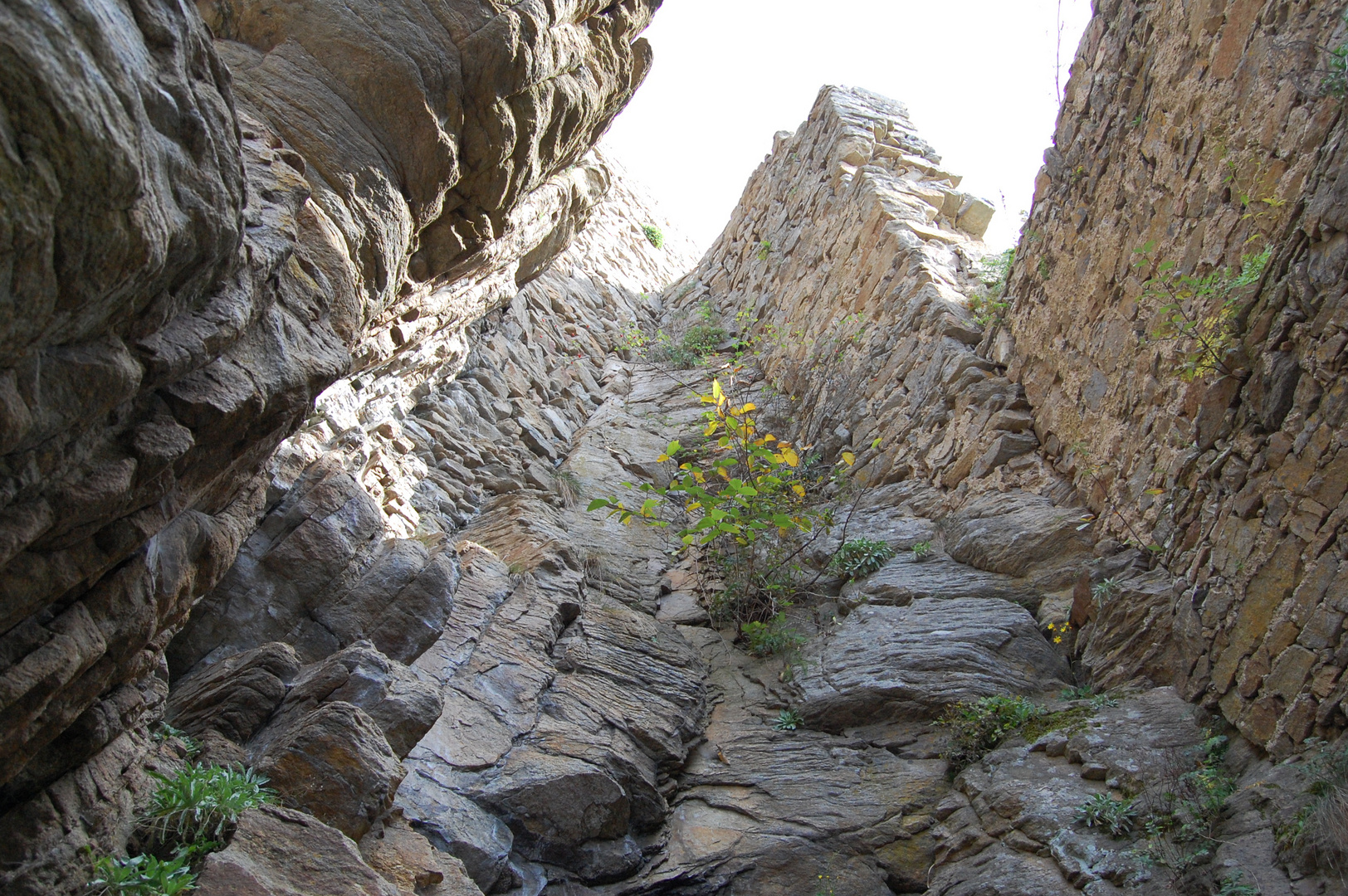 Burgruine Aggstein