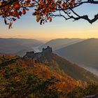 Burgruine Aggstein/Niederösterreich