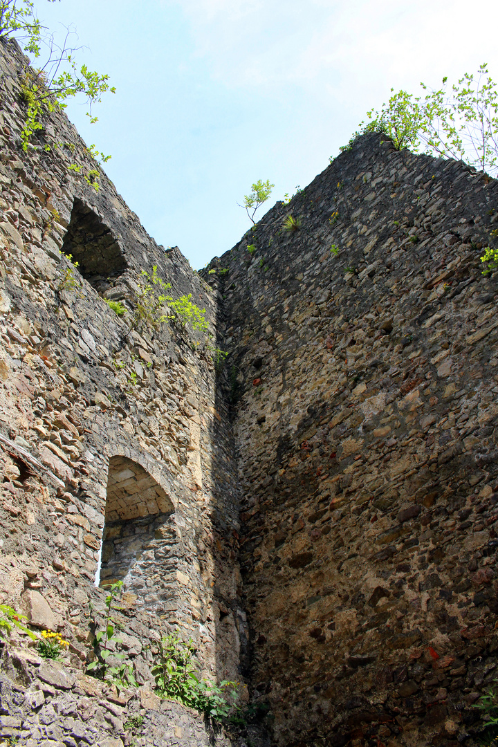 Burgruine Alt Ems