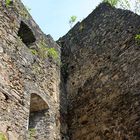 Burgruine Alt Ems