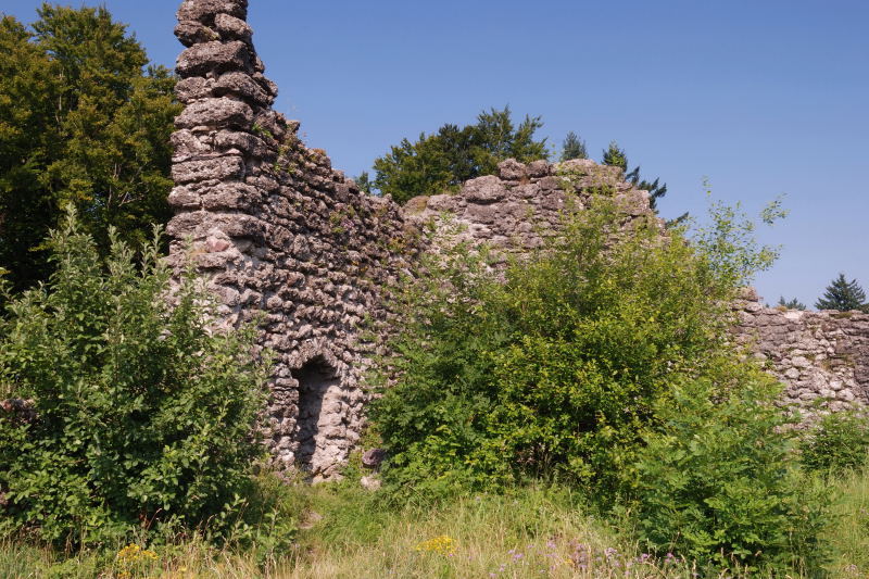 Burgruine Alt-Wädenswil