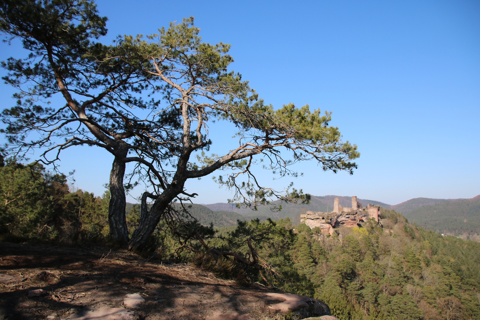 Burgruine Altdahn