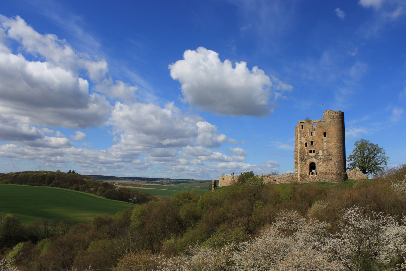 Burgruine Arnstein Foto & Bild deutschland, europe, sachsen anhalt
