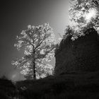 Burgruine Auerburg