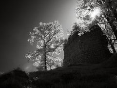 Burgruine Auerburg