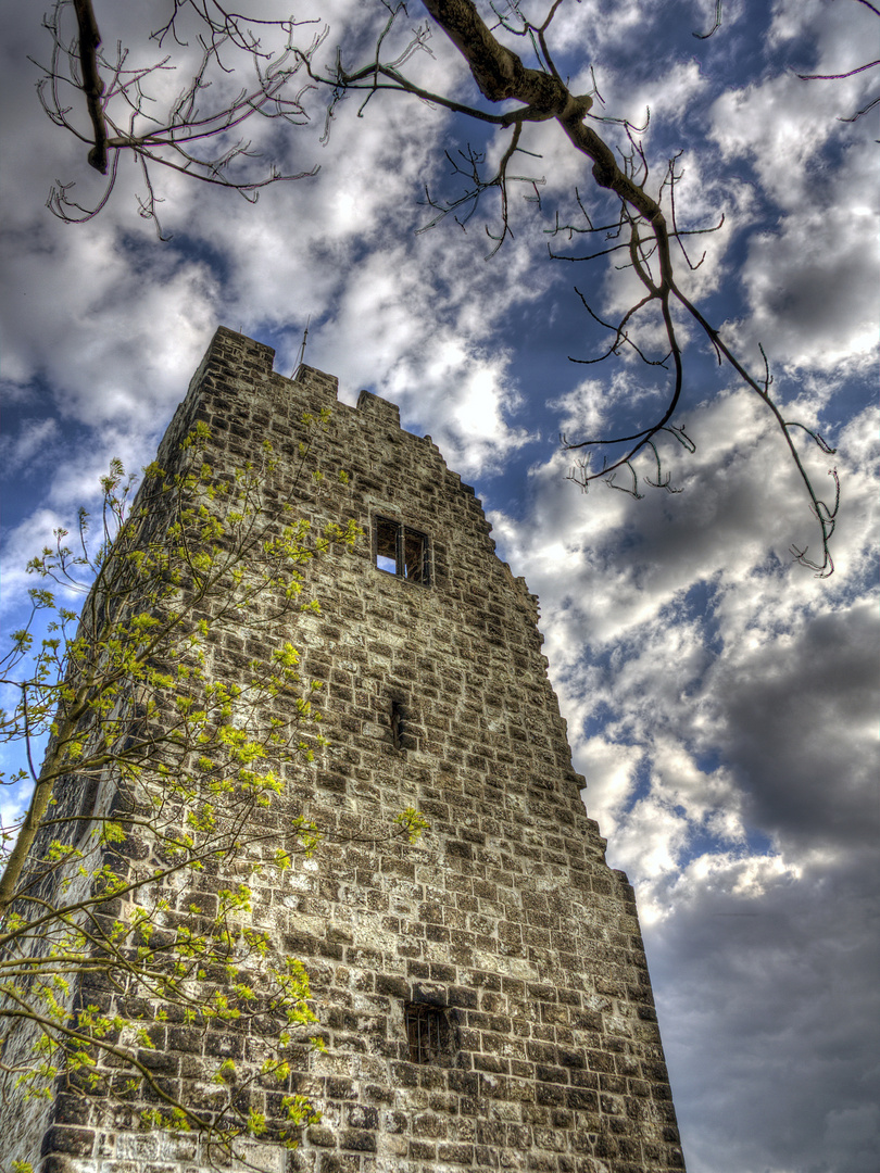 Burgruine auf dem Drachenfels