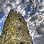 Burgruine auf dem Drachenfels