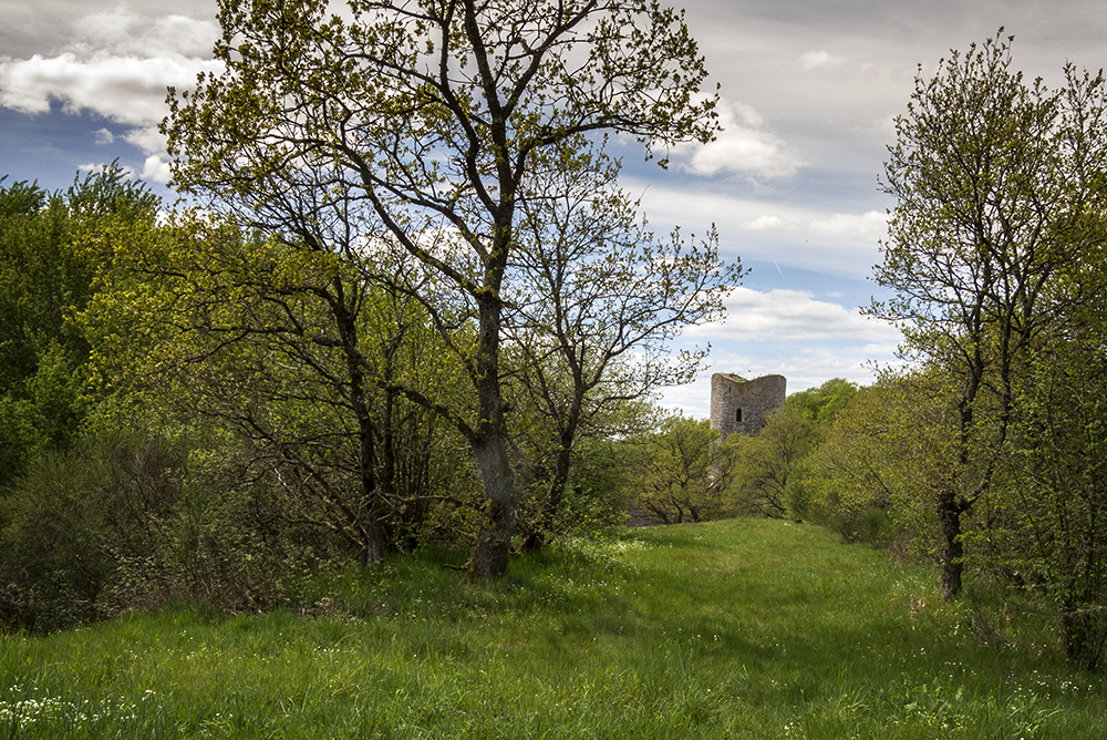 Burgruine Baldenau