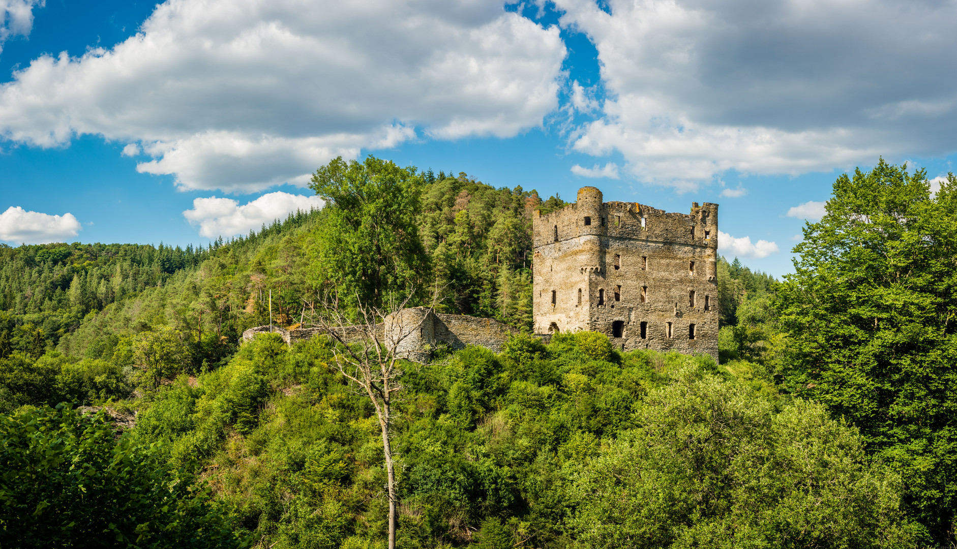 Burgruine Balduinseck (8)