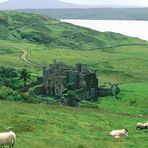 Burgruine bei Clifden