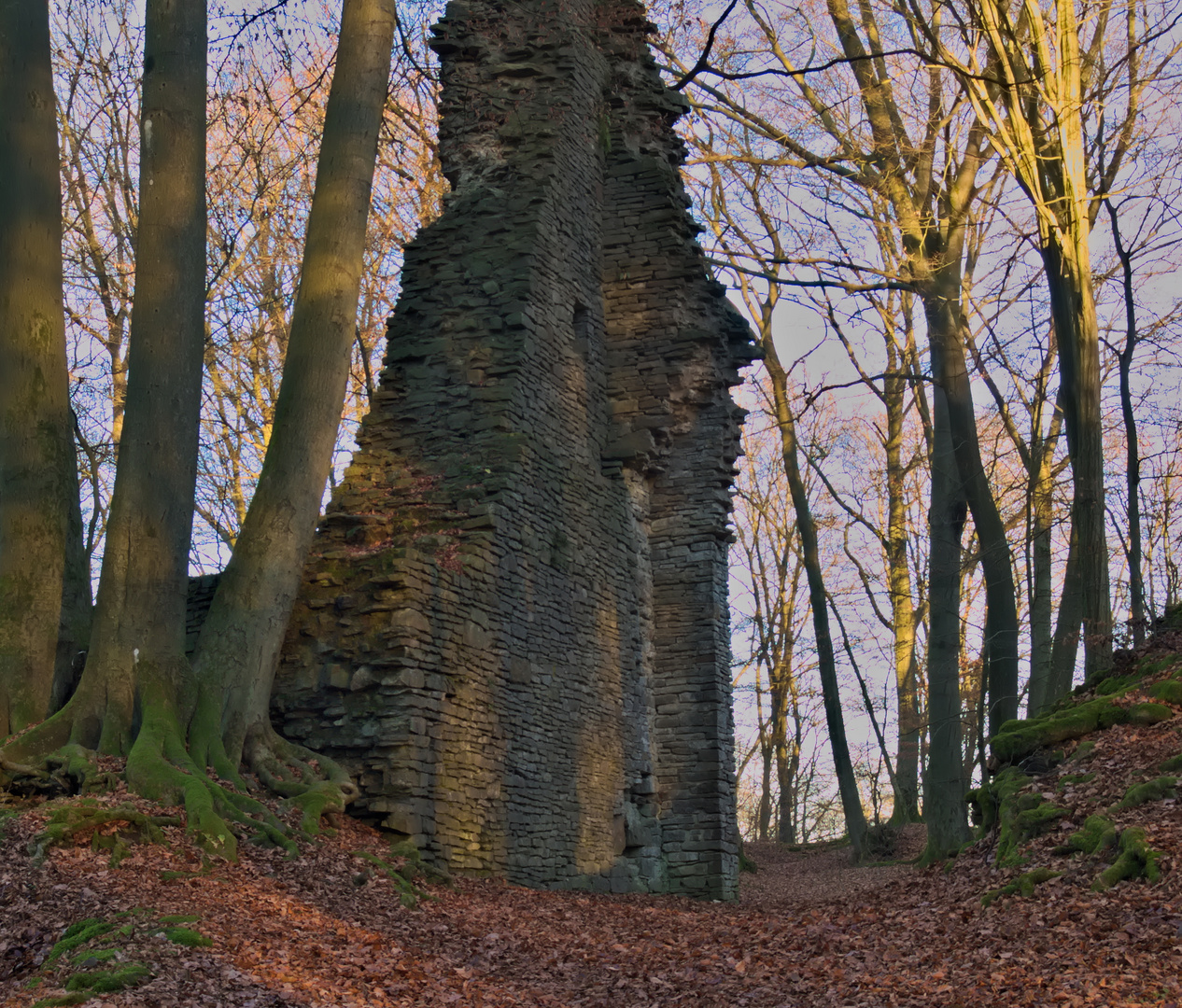 Burgruine bei Gimborn