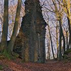 Burgruine bei Gimborn