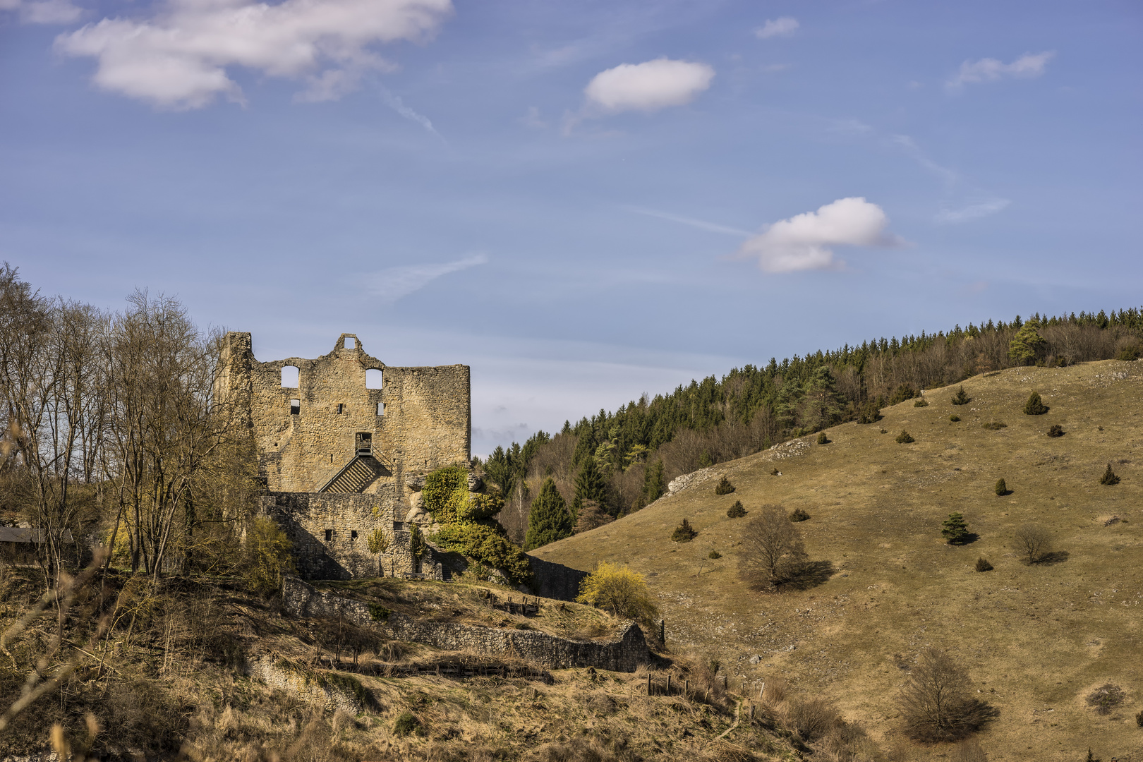 Burgruine Bichishausen