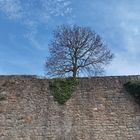 Burgruine Botenlauben in Bad Kissingen 