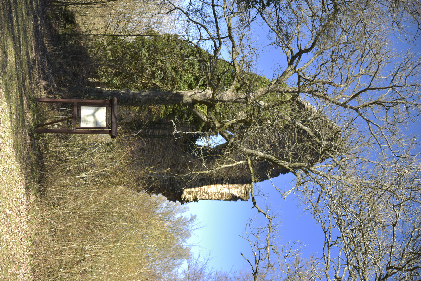 Burgruine Brunnenburg bei Bremberg