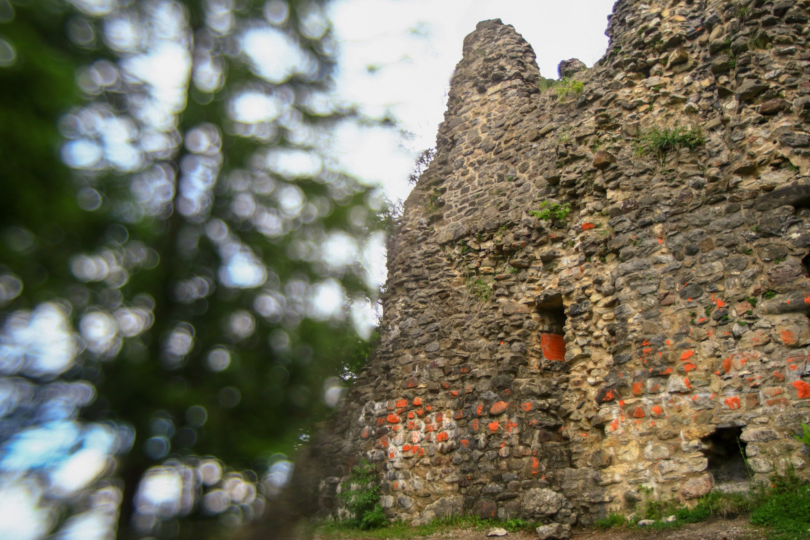 Burgruine Burgberg